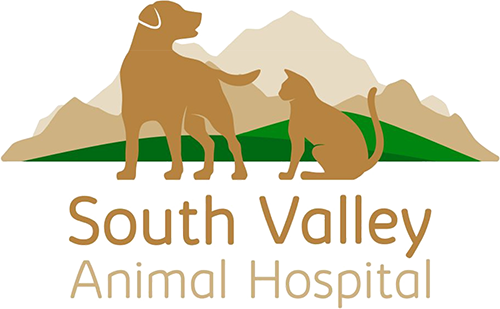 South Valley Animal Hospital